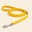 Durable Dog Leash