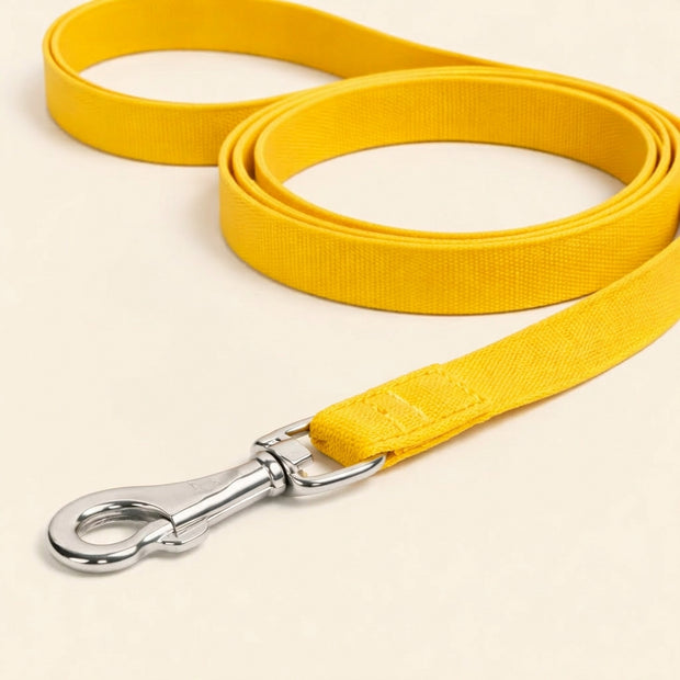Durable Dog Leash