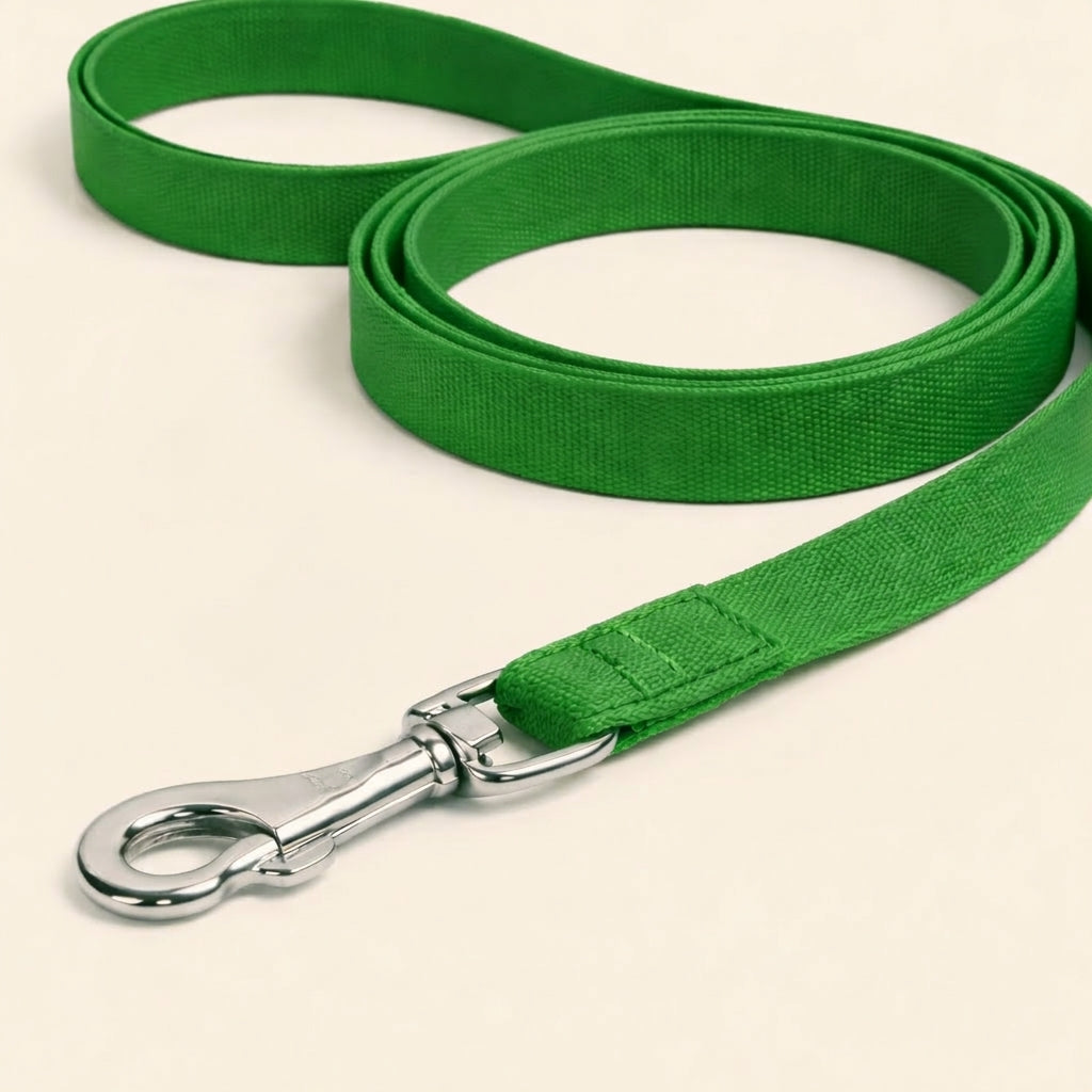 Durable Dog Leash