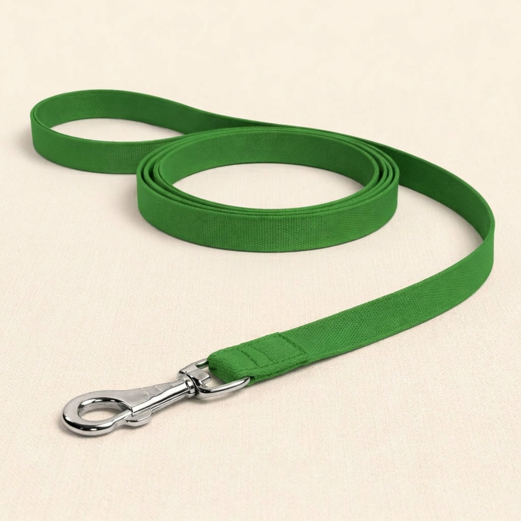 Durable Dog Leash