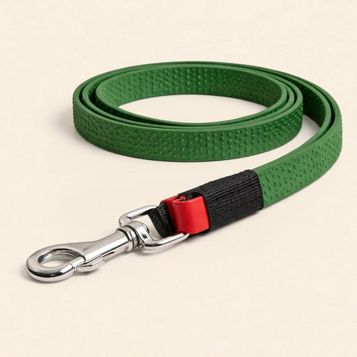 Chain Dog Leash
