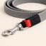 Chain Dog Leash