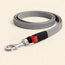 Chain Dog Leash
