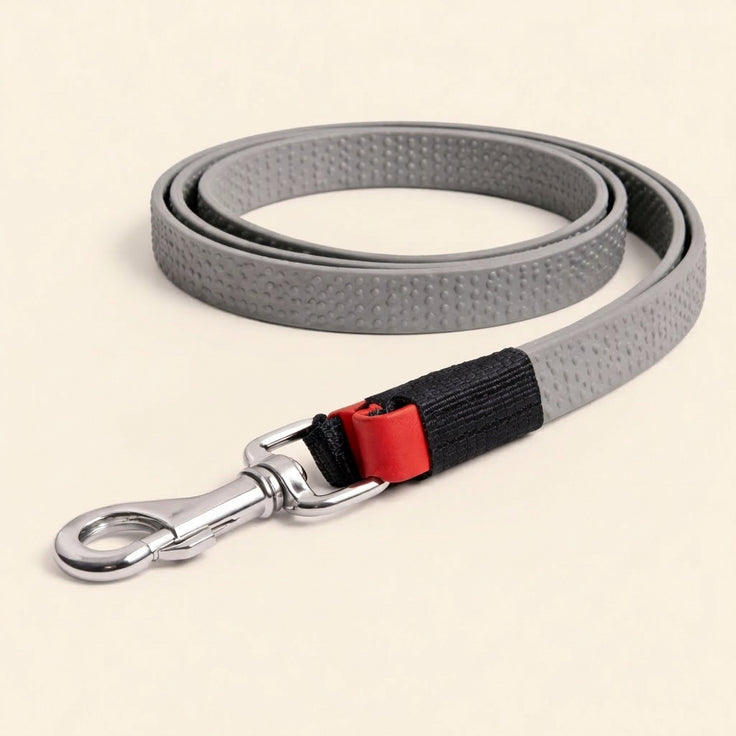 Chain Dog Leash
