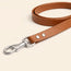 Leather Dog Leash