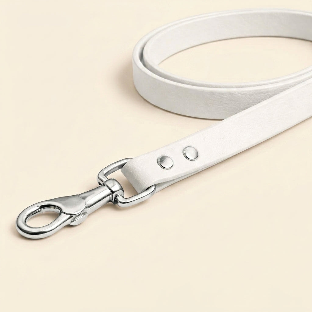 Leather Dog Leash