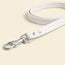 Leather Dog Leash
