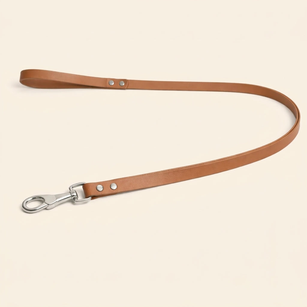 Leather Dog Leash