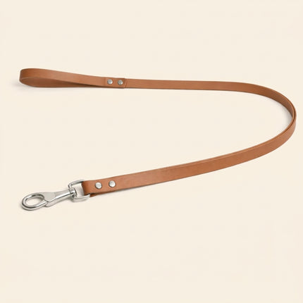 Leather Dog Leash
