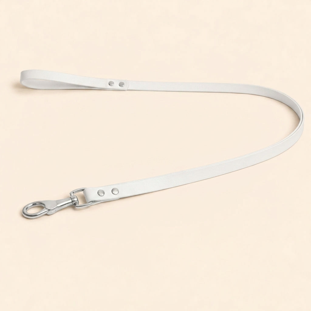 Leather Dog Leash