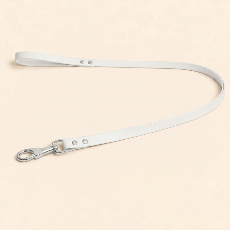 Leather Dog Leash