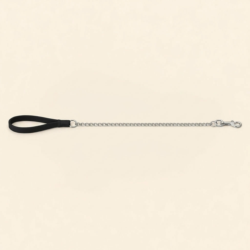 Baxter Chain Leash