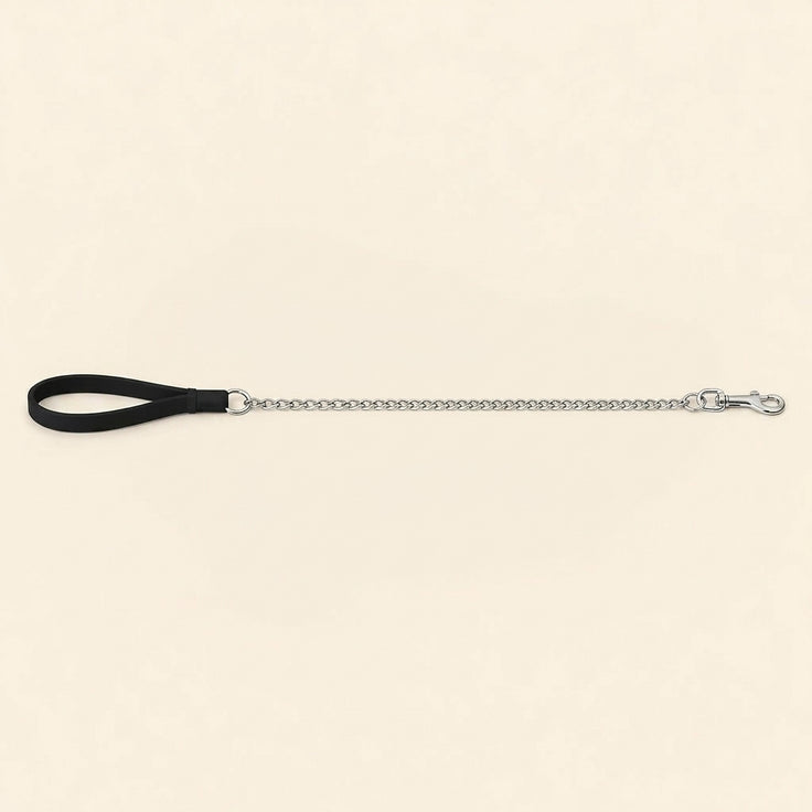 Baxter Chain Leash