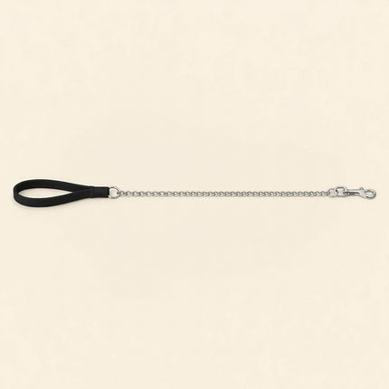 Baxter Chain Leash