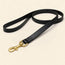 Winston Leather Leash