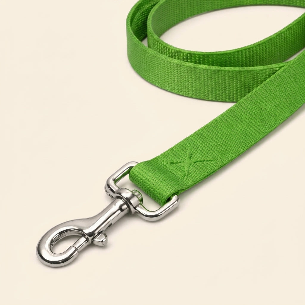 Milo Nylon Leash