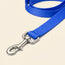 Milo Nylon Leash