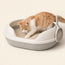 XXL High-Sided Open Cat Litter Box with Scoop — Hop-In Design