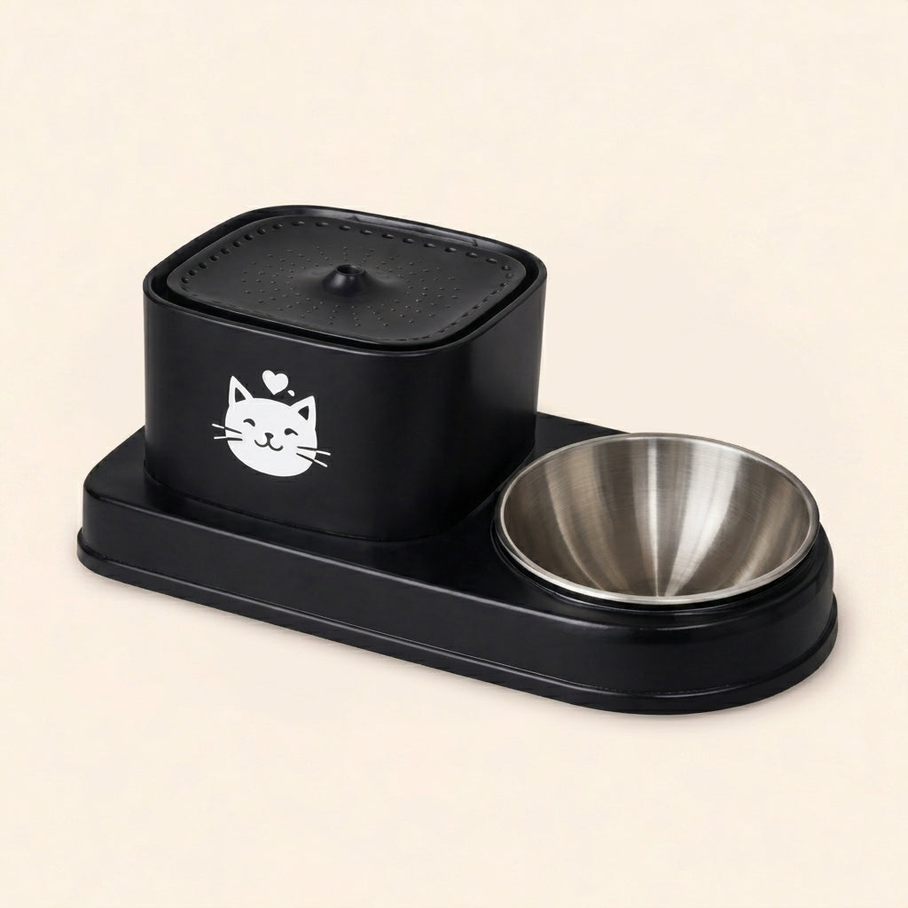 Water Fountain with Bowl