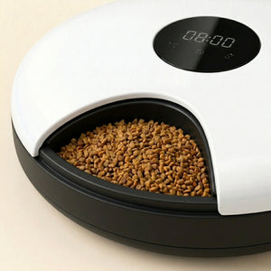 Automatic 6 Meal Feeder