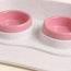 Double Cat Bowls with Tray