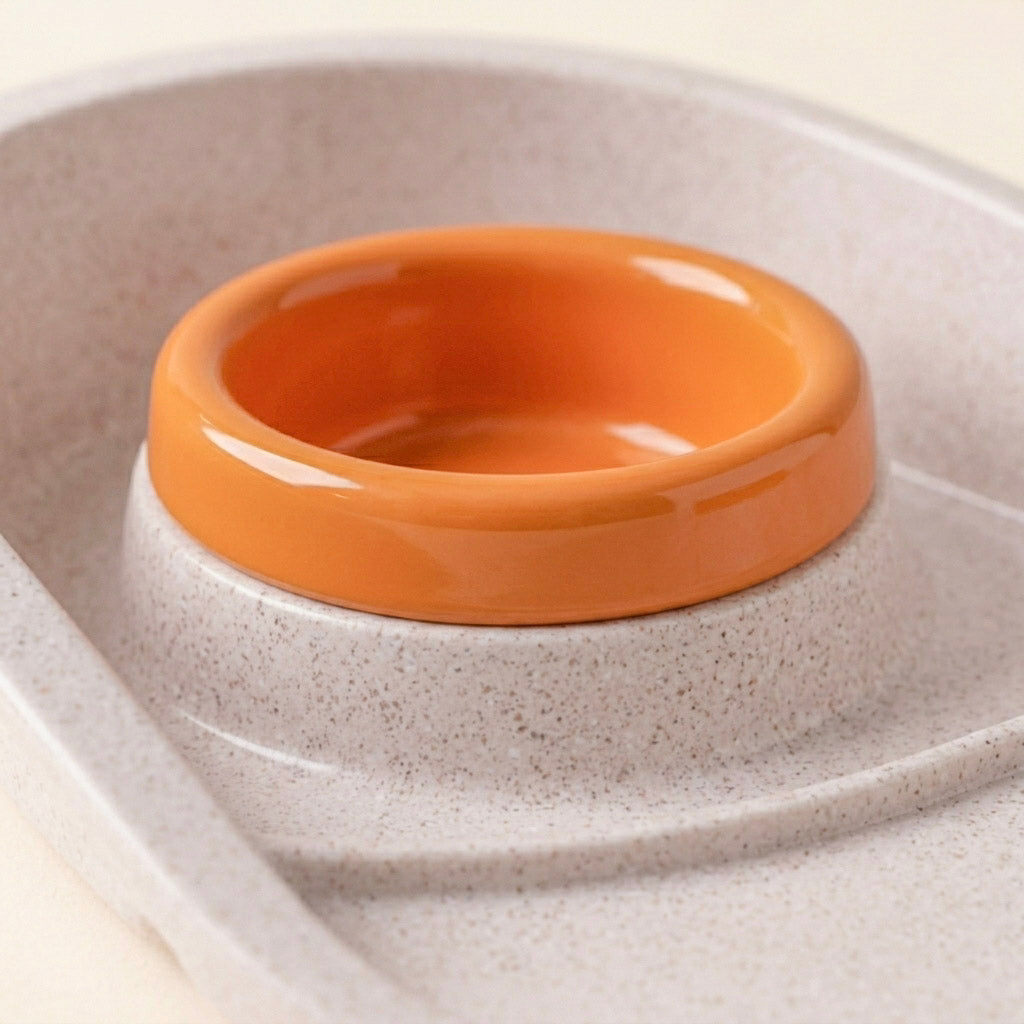 Double Cat Bowls with Tray