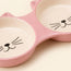 Double Ceramic Cat Bowl