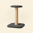CloudPad Cat Scratcher