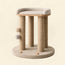 Cat Stand Scratcher