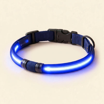 Glow In The Dark Collar