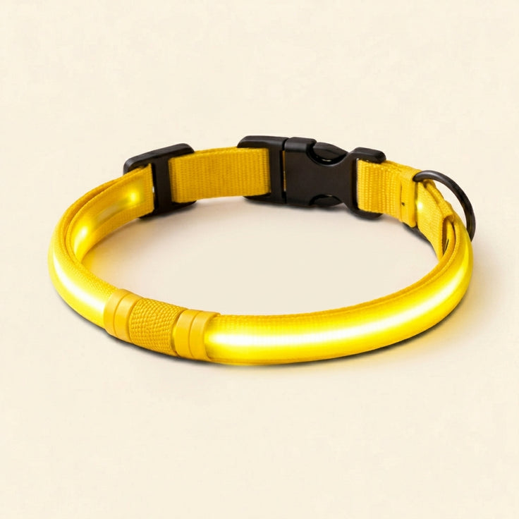Glow In The Dark Collar