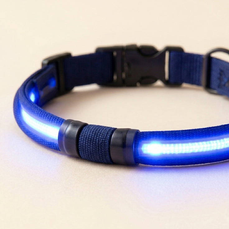 Glow In The Dark Collar