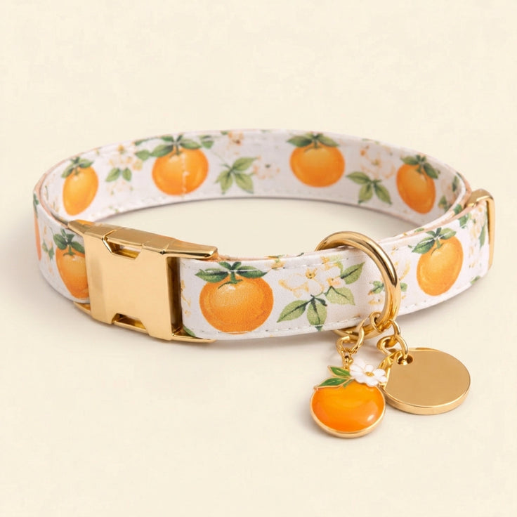 Tutti Frutti Collar