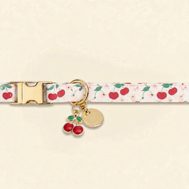 Tutti Frutti Collar