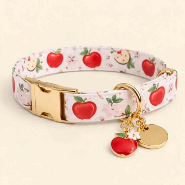 Tutti Frutti Collar