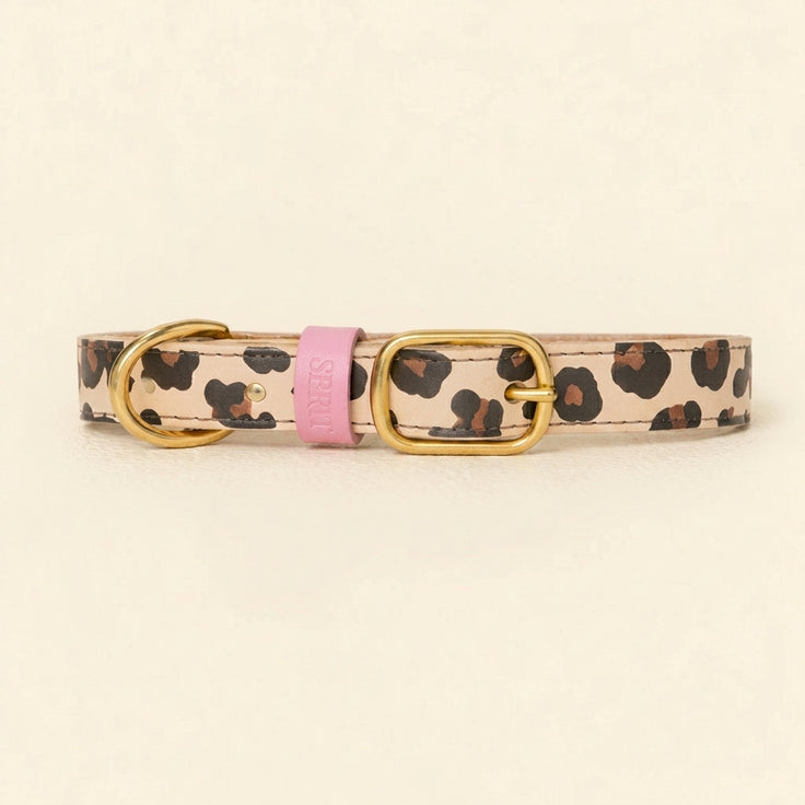 Tyla Print Collar