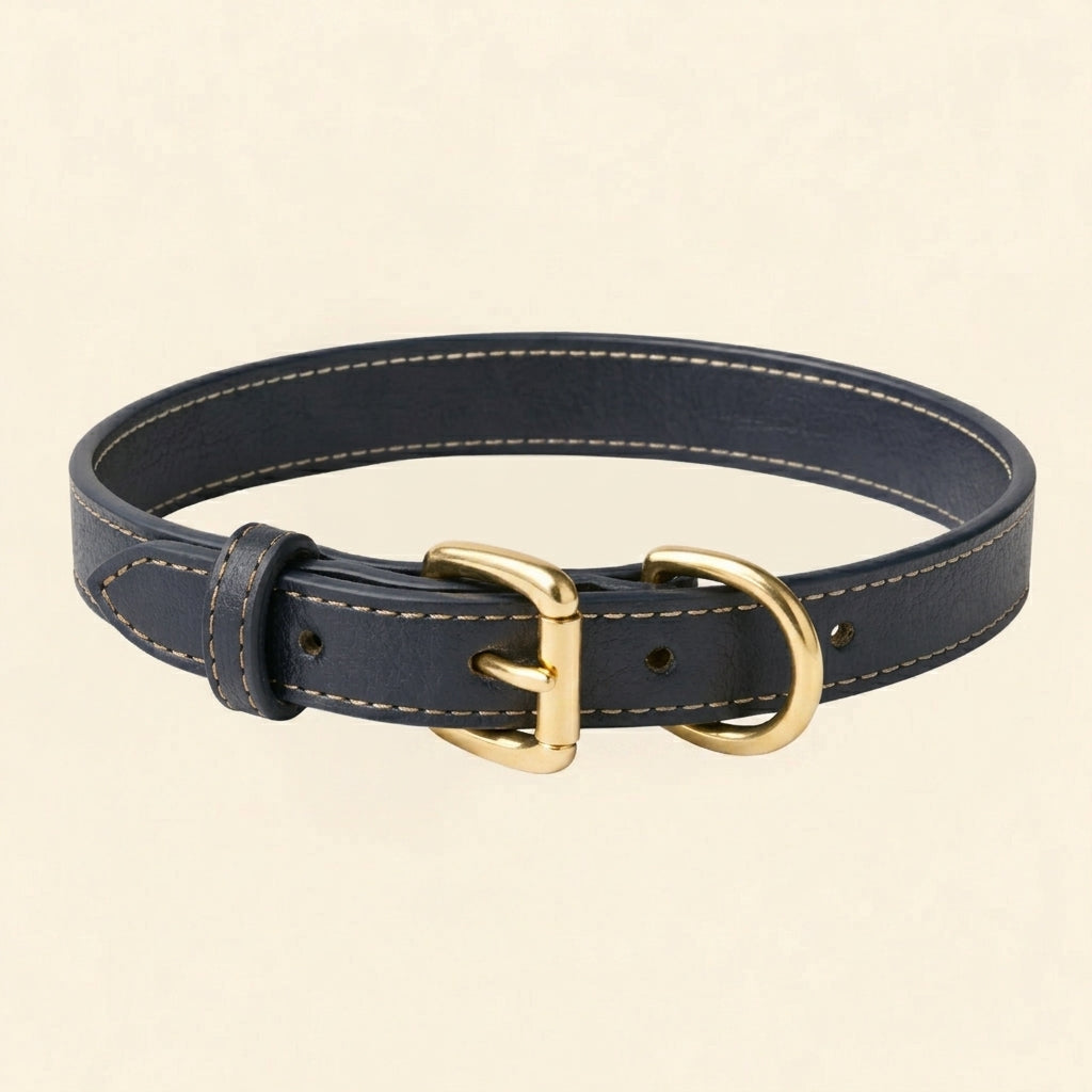 Olivia Leather Collar