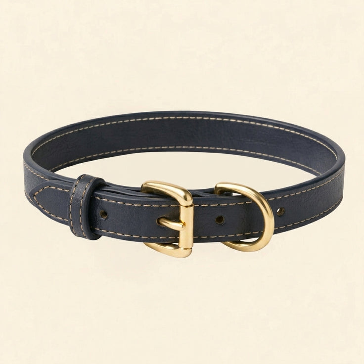 Olivia Leather Collar