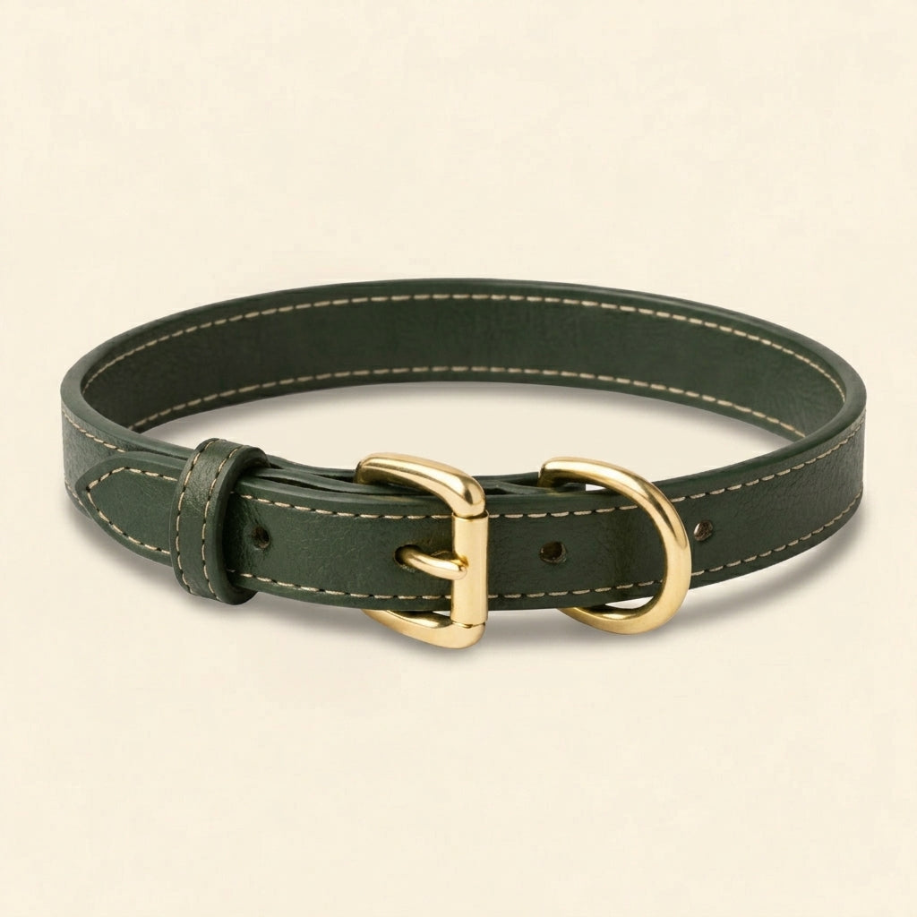 Olivia Leather Collar