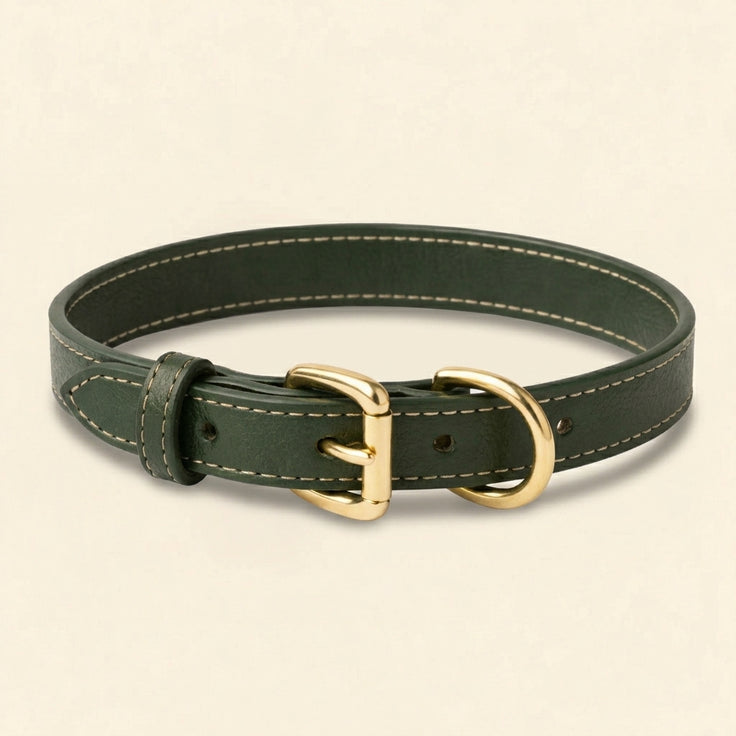 Olivia Leather Collar