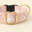 Fairy Adjustable Collar