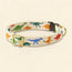 Dino Adjustable Collar