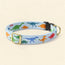 Dino Adjustable Collar
