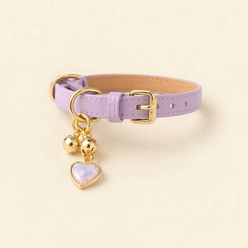 Charm Leather Collar