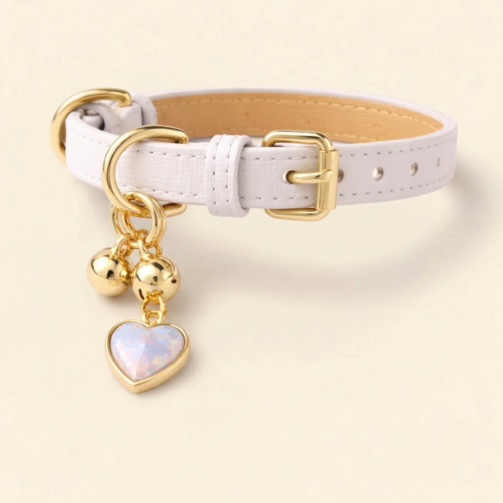 Charm Leather Collar