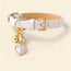 Charm Leather Collar