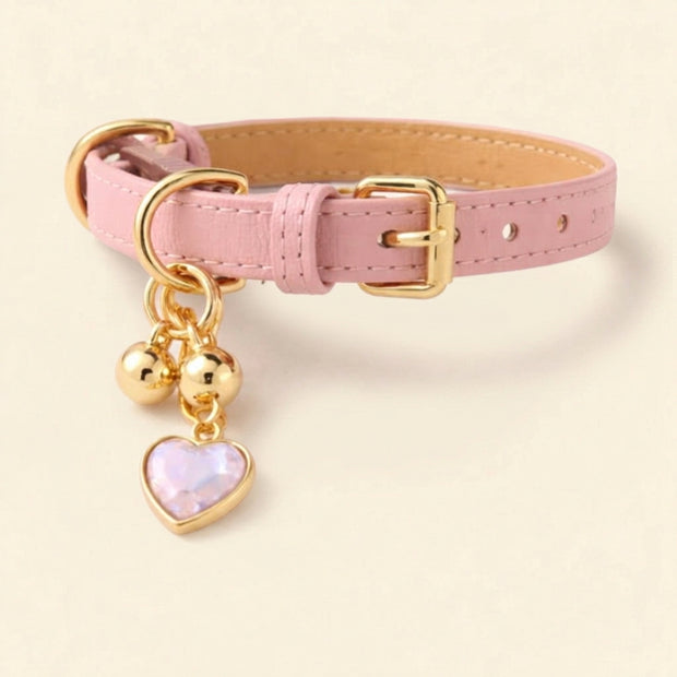 Charm Leather Collar