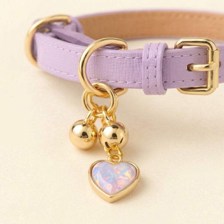Charm Leather Collar