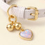 Charm Leather Collar