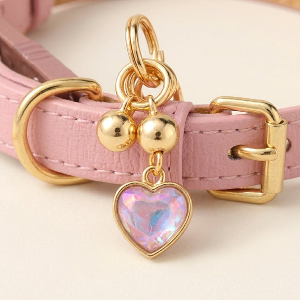 Charm Leather Collar